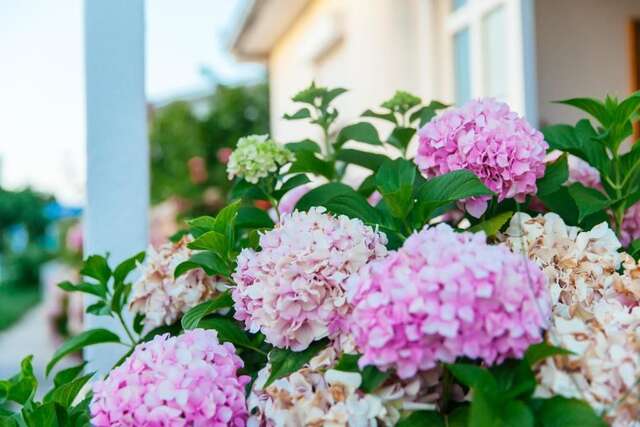 Апартаменты Apartments Paradise Улцинь-57